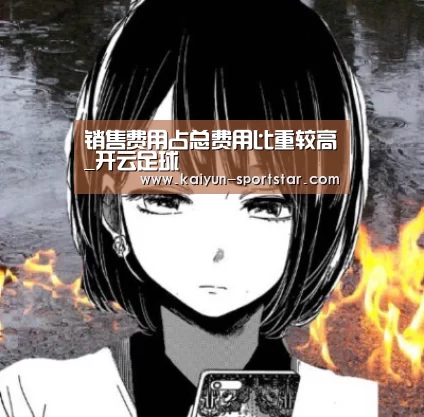 销售费用占总费用比重较高_开云足球(图4) 开云赛事