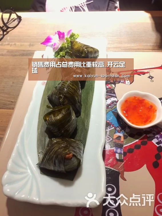 销售费用占总费用比重较高_开云足球(图1) 开云篮球