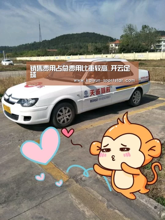 销售费用占总费用比重较高_开云足球(图2) 开云赛事
