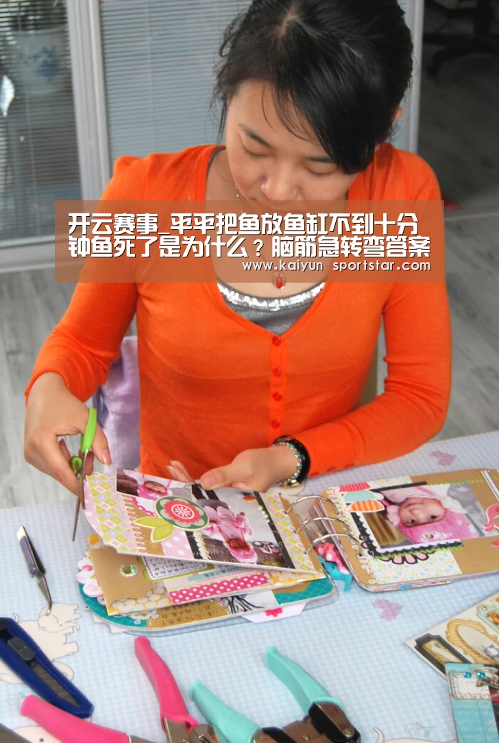 开云赛事