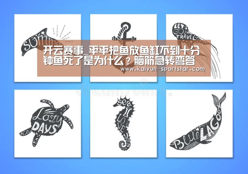 开云足球