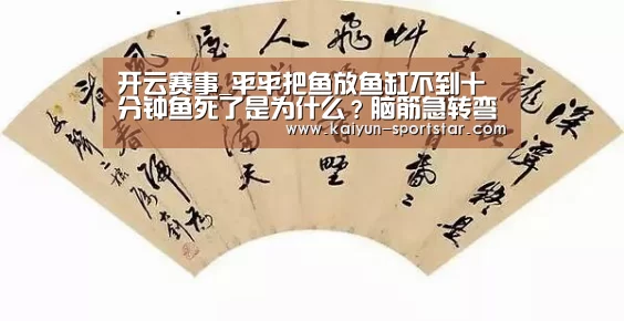 开云体育