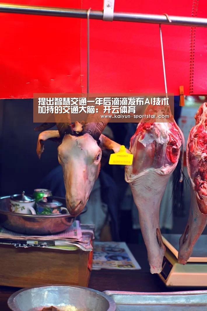 提出智慧交通一年后滴滴发布AI技术加持的交通大脑:开云体育(图4) 开云体育