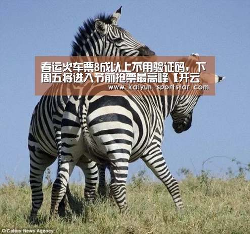 春运火车票8成以上不用验证码,下周五将进入节前抢票最高峰【开云篮球】(图2) 开云篮球